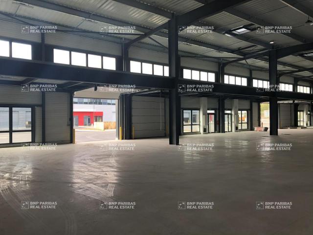 Local Commercial location à Haguenau-Wissembourg, Bernolsheim