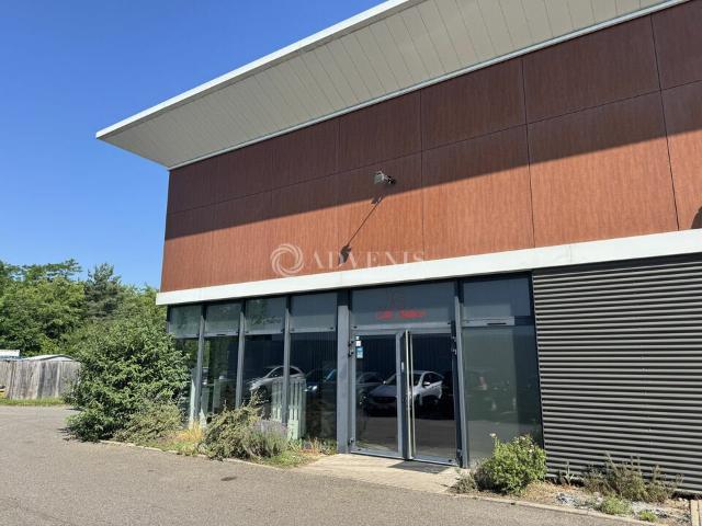 Local Commercial location à Haguenau-Wissembourg, Brumath