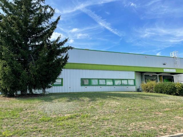 Local Commercial location à Colmar-Ribeauvillé, Colmar