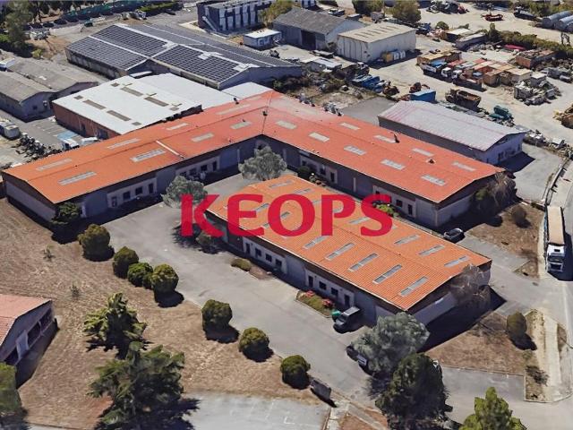 Local Commercial location à Toulouse, Colomiers