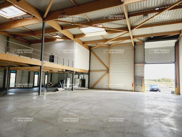 Local Commercial location à Torcy, Courtry