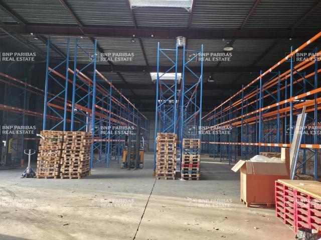 Local Commercial location à Torcy, Emerainville