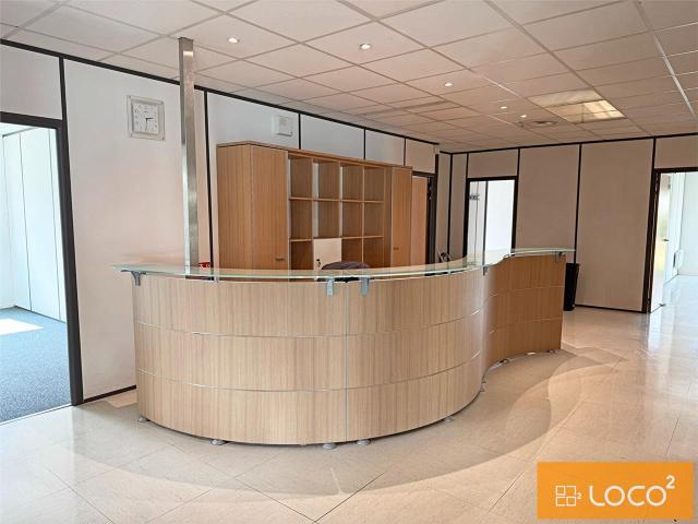 Local Commercial location à Toulouse, Flourens