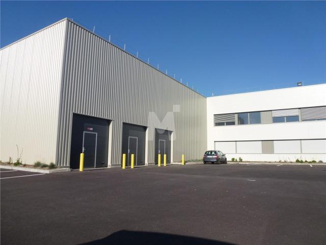 Local Commercial location à Évry, Grigny