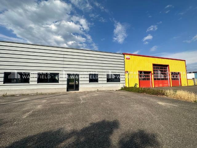 Local Commercial location à Haguenau-Wissembourg, Haguenau