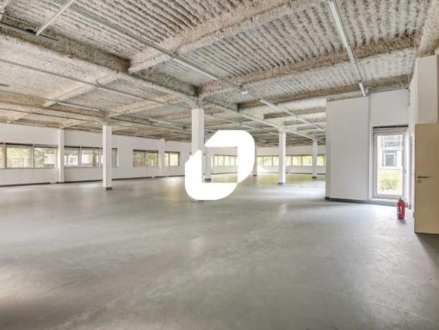 Local Commercial location à Palaiseau, Les Ulis
