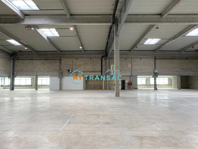 Local Commercial location à Parc d'activités Levant, Lieusaint