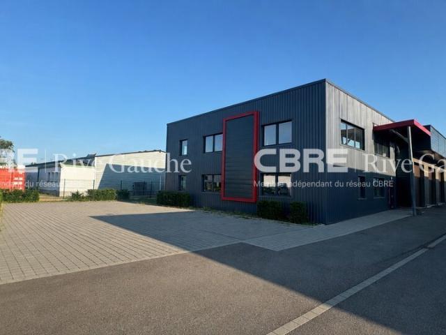 Local Commercial location à Strasbourg, Mundolsheim