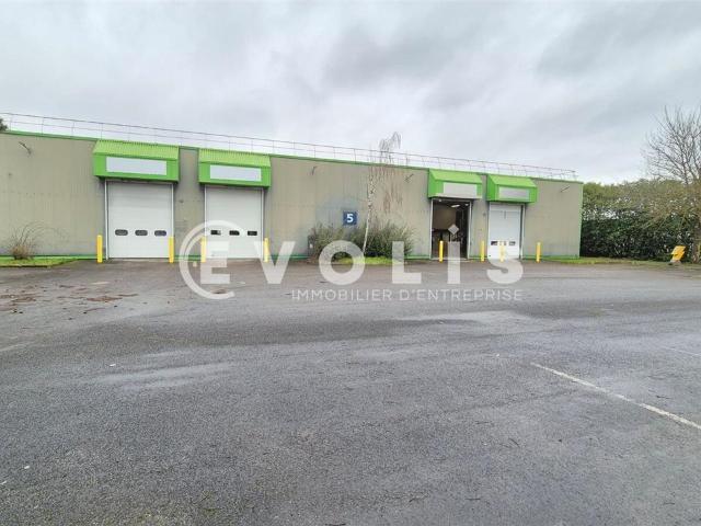 Local Commercial location à Torcy, Saint-thibault-des-vignes