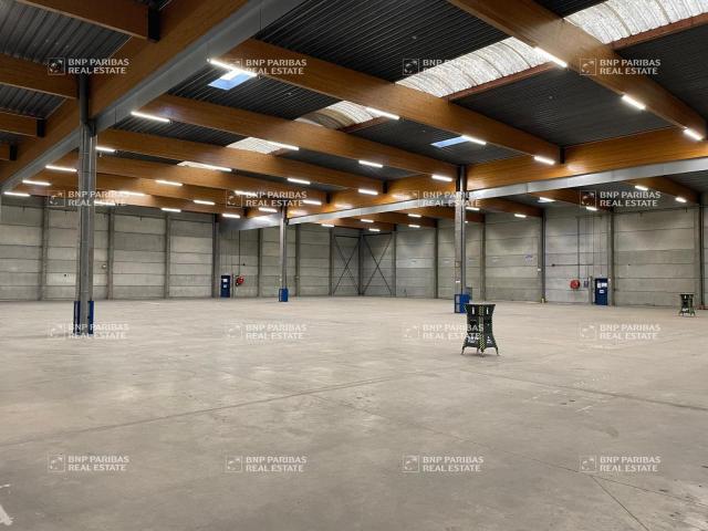 Local Commercial location à Torcy, Saint-thibault-des-vignes