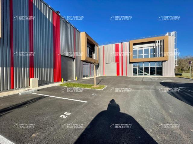 Local Commercial location à Bordeaux, Tresses