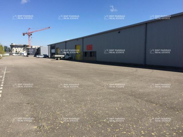Local Commercial location à Lyon, Métropole de Lyon
