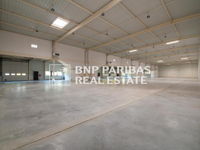 Local Commercial location à Palaiseau, Villejust