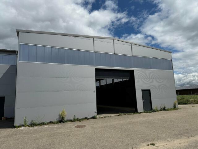 Local Commercial location à Colmar-Ribeauvillé, Volgelsheim