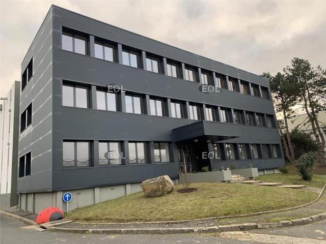 Local Commercial location à Palaiseau, Wissous