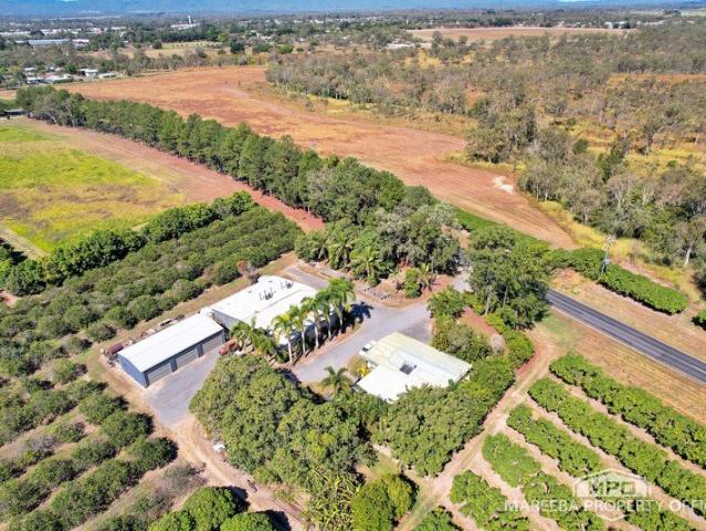 Cottage for sale in Mareeba, Queensland