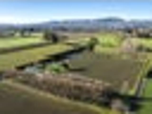 House for sale in Hastings