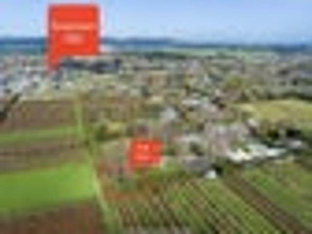 Land for sale in Greytown, Wellington