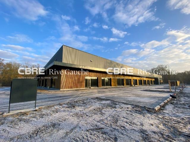 Local Commercial location à Haguenau-Wissembourg, Haguenau