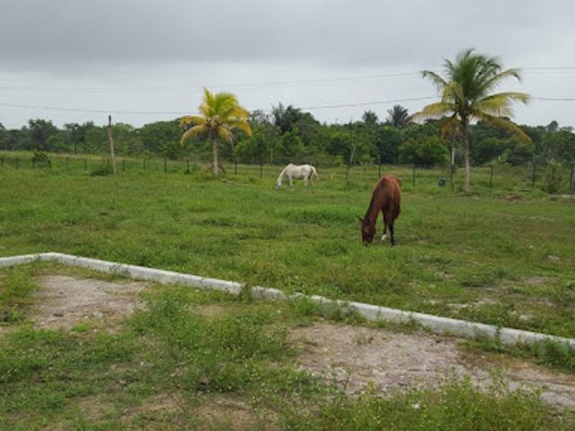 Maison location à Guyane
