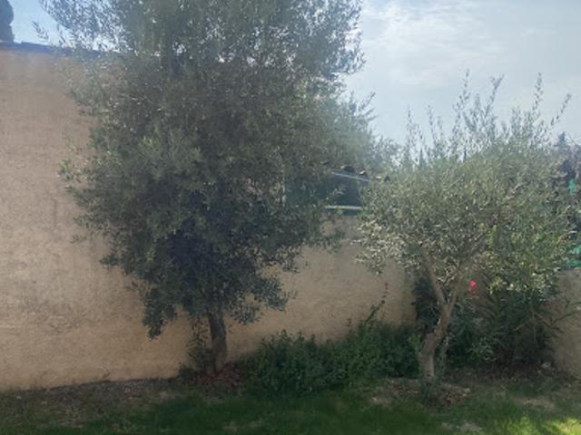 Maison location à Marseille