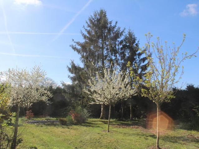 Maison location à Provins, Chenoise