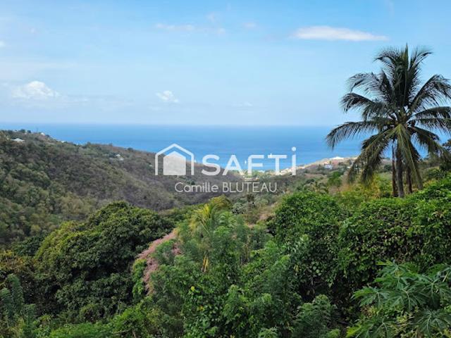 Maison location à Martinique