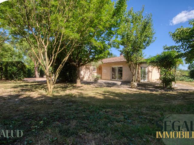 Maison location à Albi, Moularès