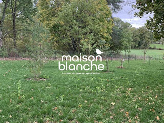 Maison location à Mosny-Ouest, Amboise