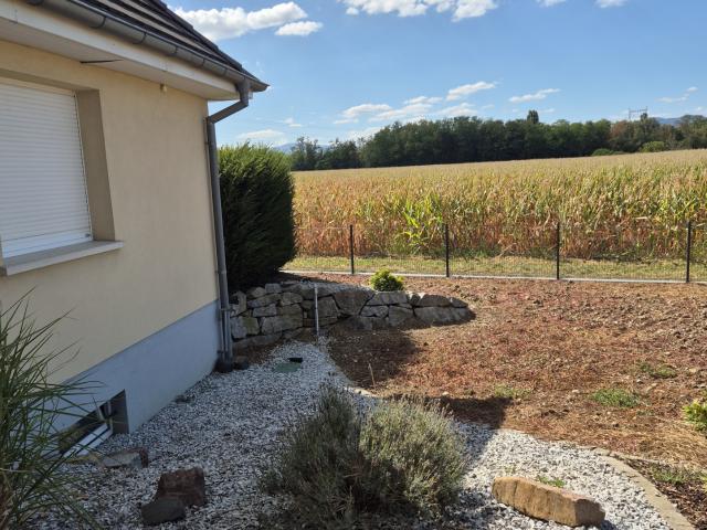 Maison location à Colmar-Ribeauvillé, Logelheim