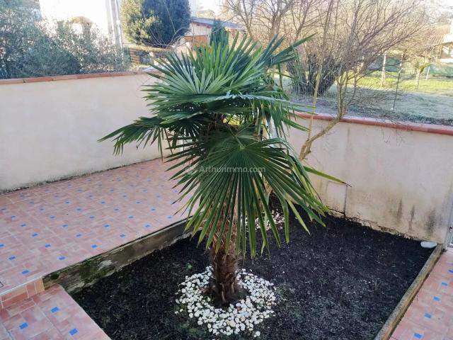 Maison location à Albi, Carmaux