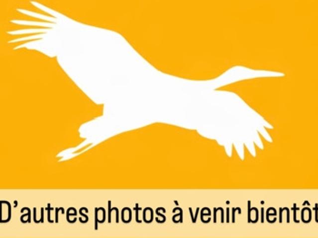 Maison location à Labastide-Saint-Pierre, Tarn-et-Garonne