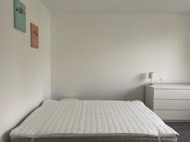 Appartement location à Sarrebourg-Château-Salins, Saint-louis
