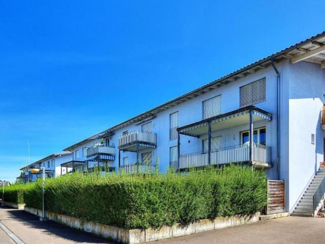 Apartment mieten in Strengelbach, Bezirk Zofingen