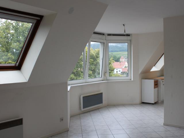 Appartement location à Haguenau-Wissembourg, Riedseltz
