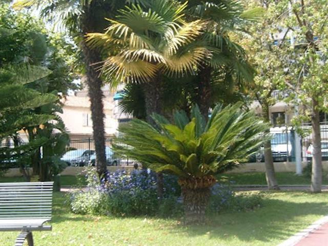 Studio location à Grasse, Cannes
