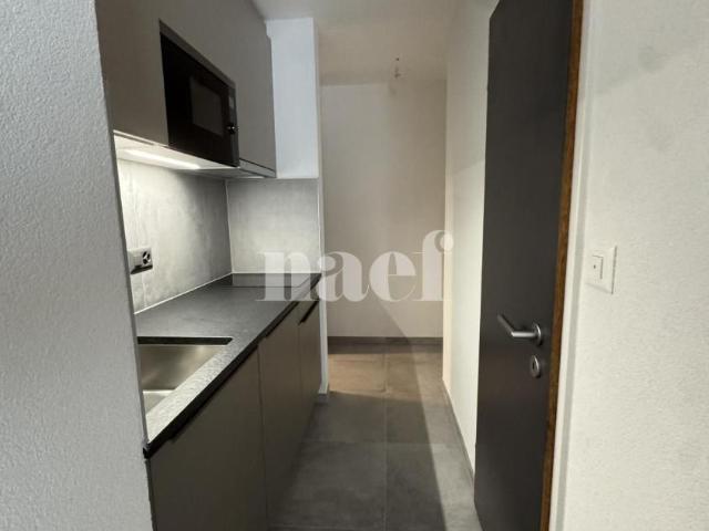 Studio mieten in Cheseaux-Lausanne, Waadt