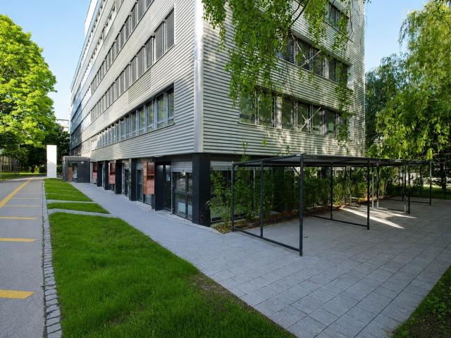 Studio mieten in Bern