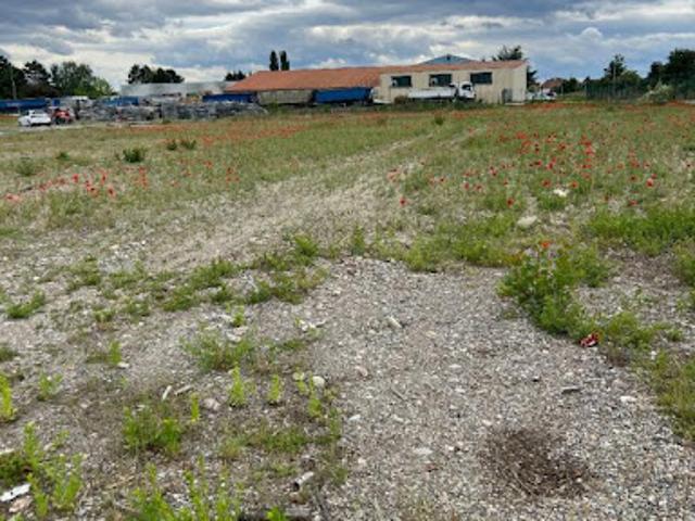 Terrain location à Colmar, Collectivité européenne d'Alsace