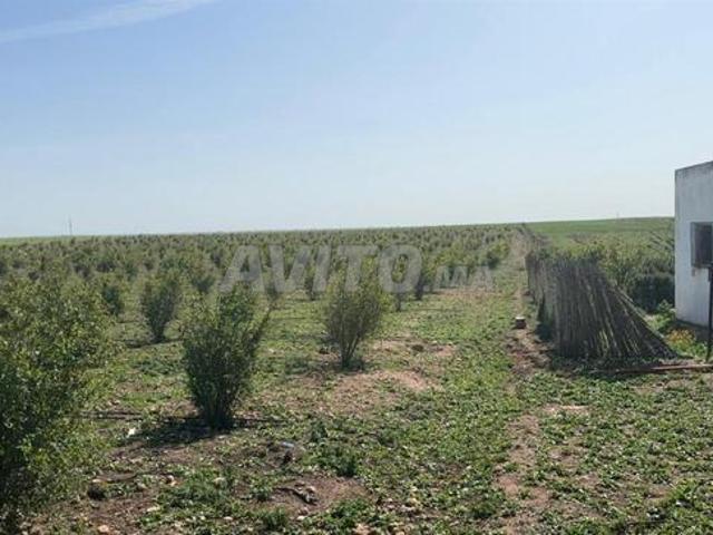 Propriété location à Berrechid, Gharb-Chrarda-Beni Hssen