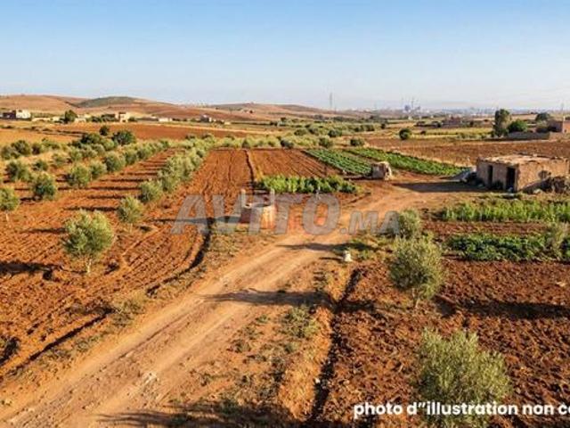 Propriété location à Oulad Salah, Gharb-Chrarda-Beni Hssen