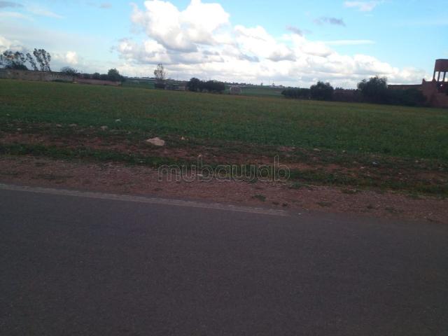 Terrain location à Mediouna, Gharb-Chrarda-Beni Hssen