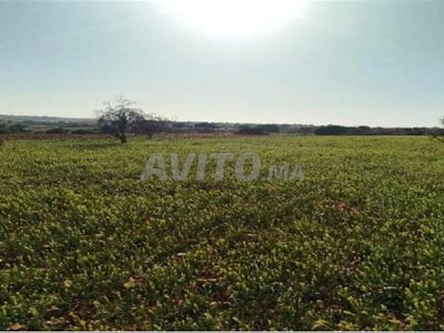 Propriété location à Tit Mellil, Gharb-Chrarda-Beni Hssen