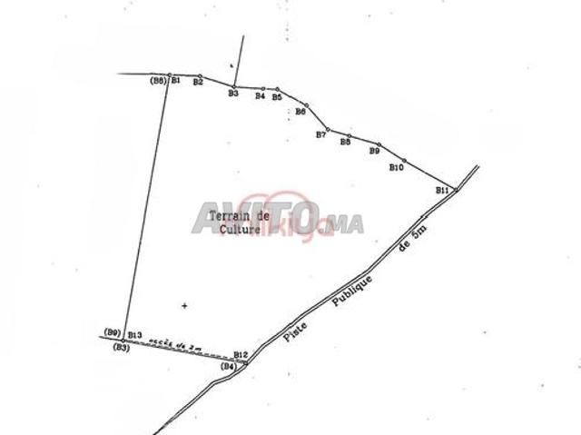 Propriété location