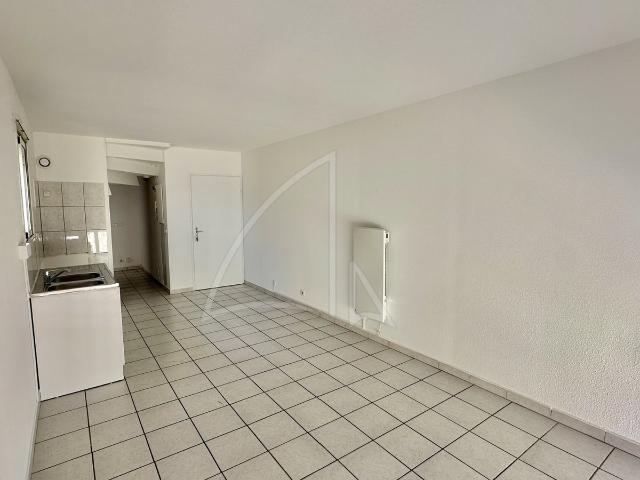 Appartement location à Sausheim, Collectivité européenne d'Alsace