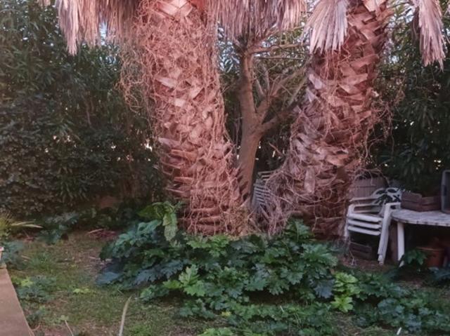 Maison location à Béziers, Nissan-lez-enserune