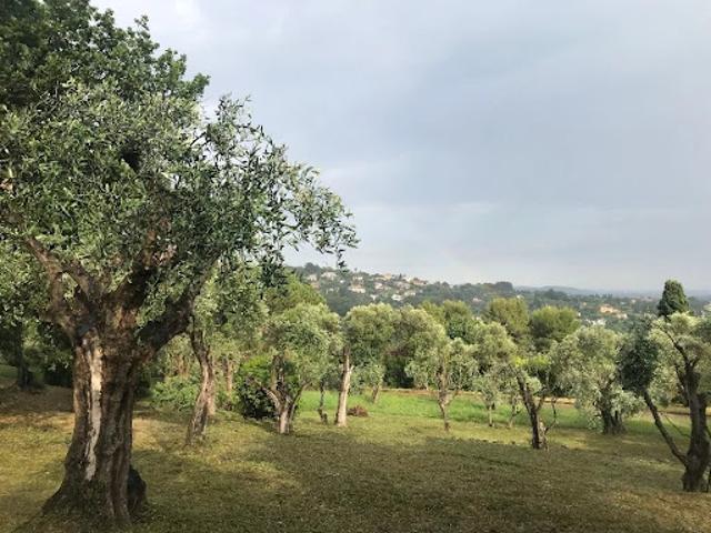 Villa location à Grasse