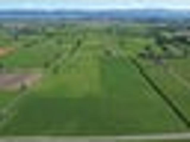 Land for sale in Cape Palliser, Wellington