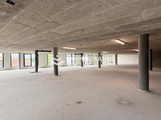 Atelier mieten in Meyrin