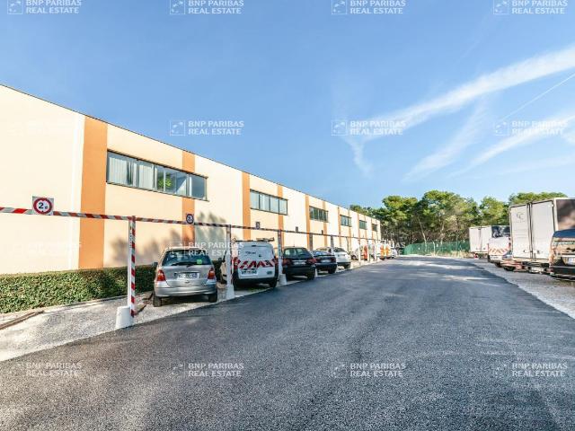 Local Commercial location à Grasse, Antibes